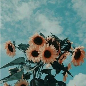 Meet your Posher, Carlee